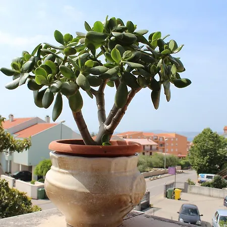 Kardum * Zadar